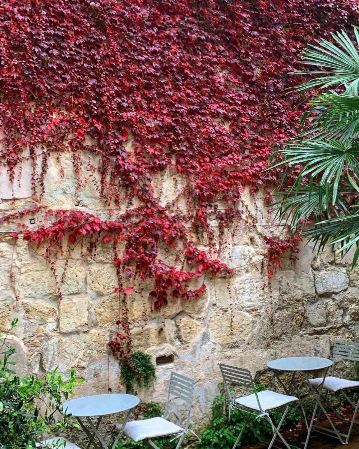B&B La Maison Galiene Bordeaux Ngoại thất bức ảnh